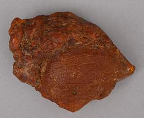 <b>Großer Rohbernstein, Sammlermineral</b>