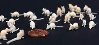 <b>Sammlung weißer Mäuse in Miniaturgröße, Elfenbein</b>