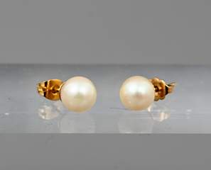 <b>Paar Perl-Ohrstecker</b>