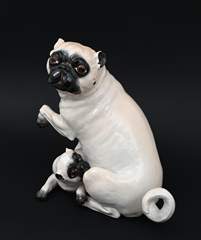 <b>Mops mit Jungem Meissen</b>