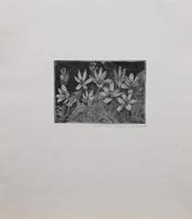 <b>Erhard Hippold, sign. Gussy (1909 in Wilkau - 1972 in Bad Gottleuba)</b>