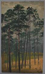<b>Karl Quarck (1869 Rudolstadt - 1949 Dresden)</b>