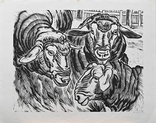 <b>Erich Fraass (1893 Glauchau - 1974 Dresden)</b>