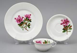 <b>Gedeck Rosenthal mit Rhododendron-Dekor </b>