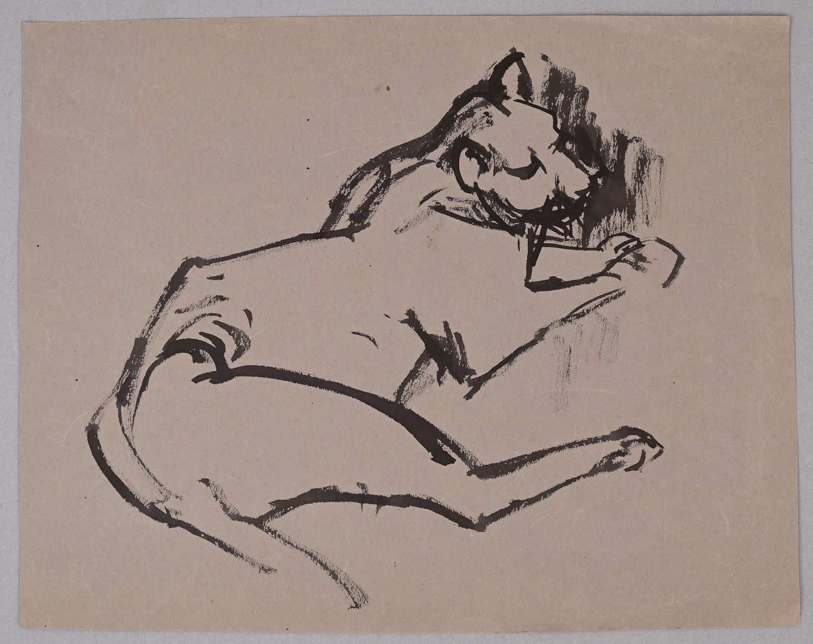 Bild 0