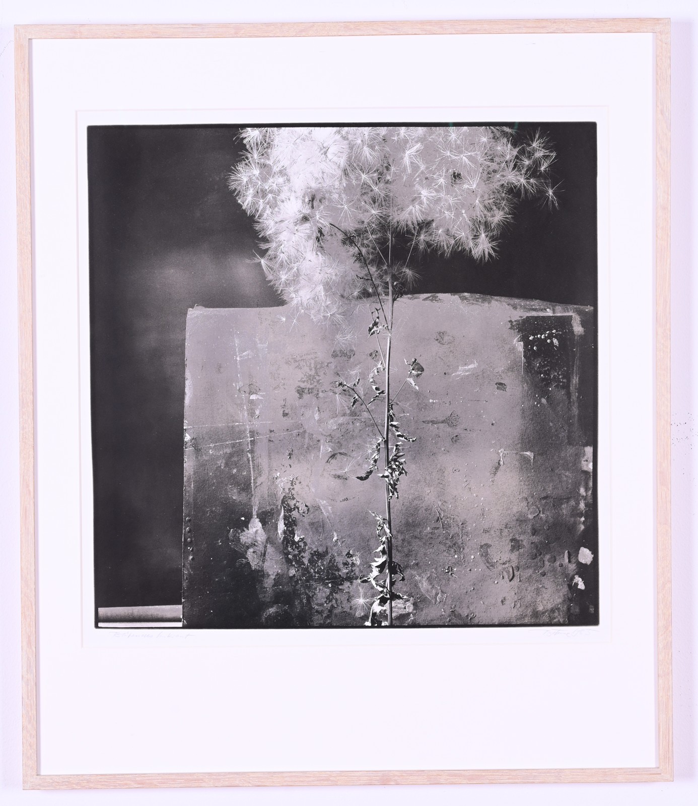 Bild 0