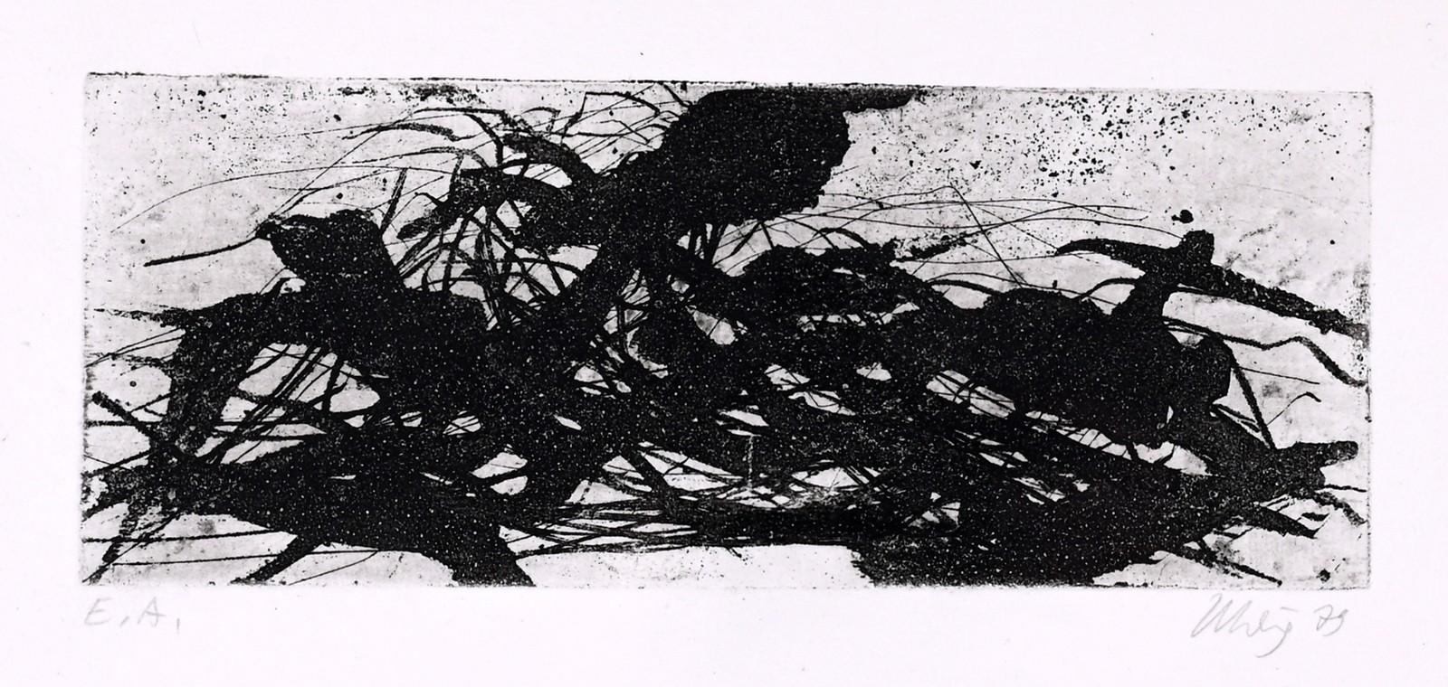 Bild 0
