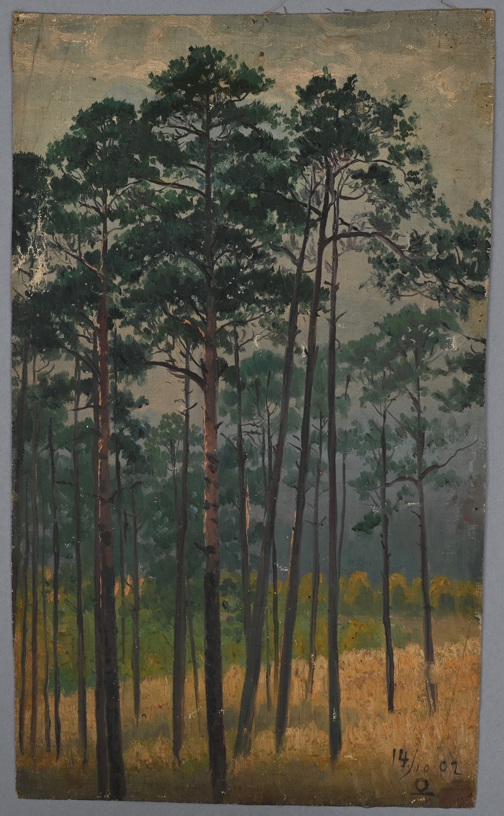 Bild 0